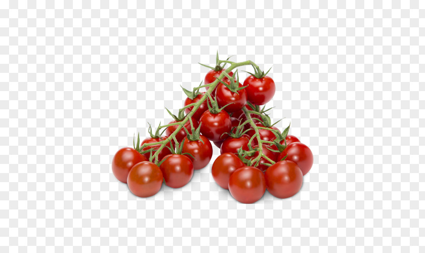 Cherry Material Plum Tomato Bush Food Vegetarian Cuisine PNG