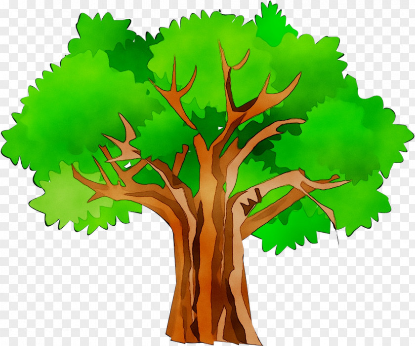 Clip Art Openclipart Free Content Tree Illustration PNG