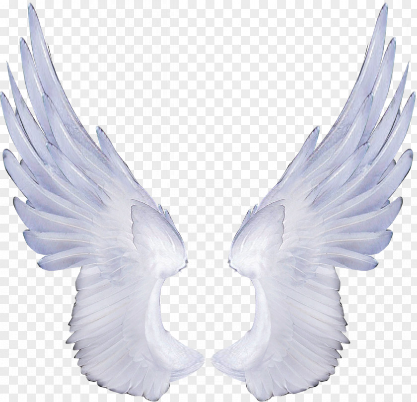 Clipart Download Wings Clip Art PNG