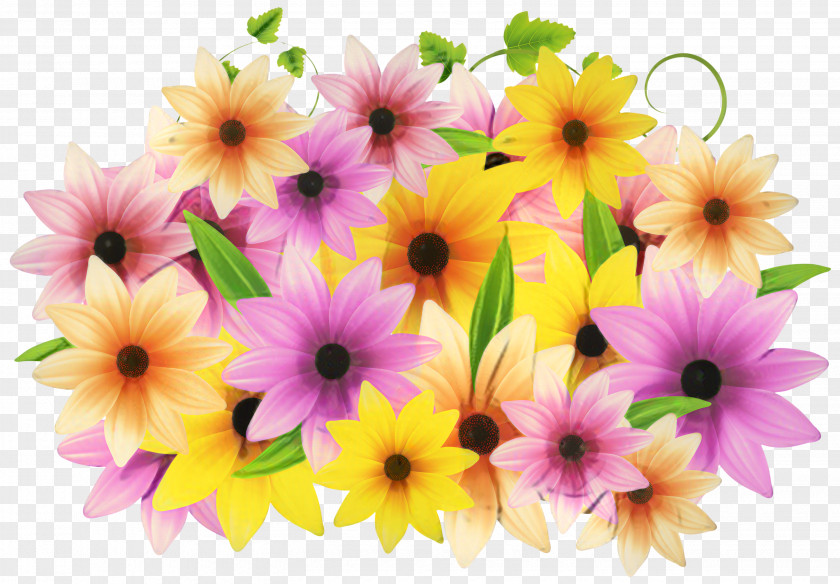 Floral Design Cut Flowers Transvaal Daisy Flower Bouquet PNG
