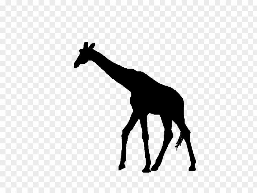 Sillouette Giraffe Silhouette Clip Art PNG