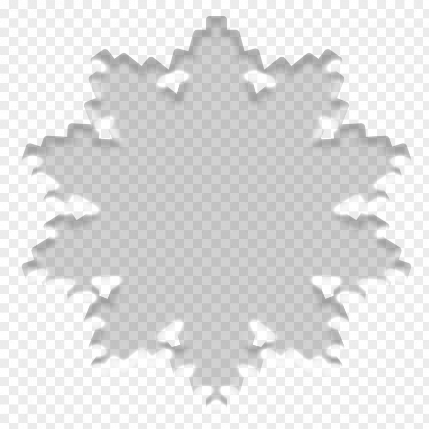 Snowflake Black And White Symmetry Pattern PNG