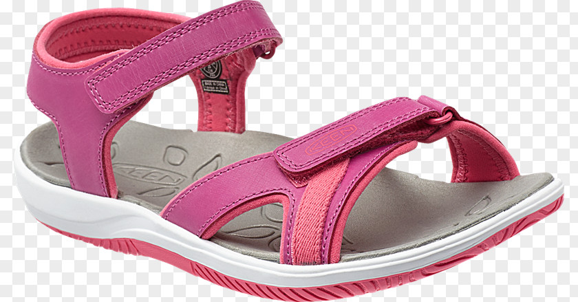 Zapateria Slipper Sandal Shoe Flip-flops PNG
