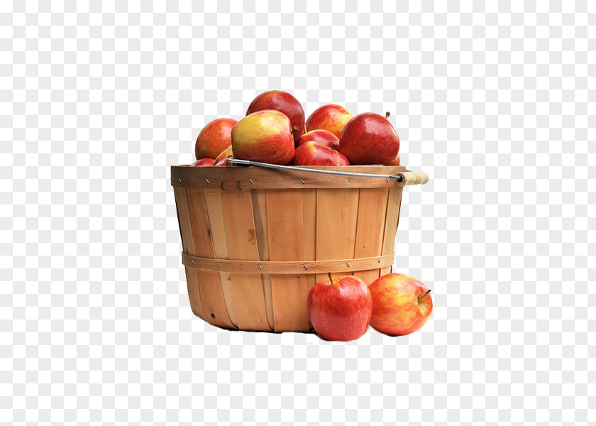Basket Of Apples The Fuji PNG