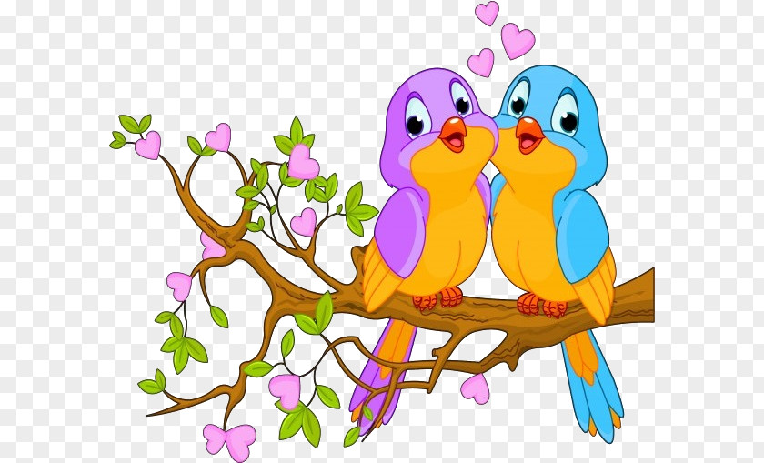 Cute Background Cartoon Lovebird Clip Art Parrot Free Content PNG