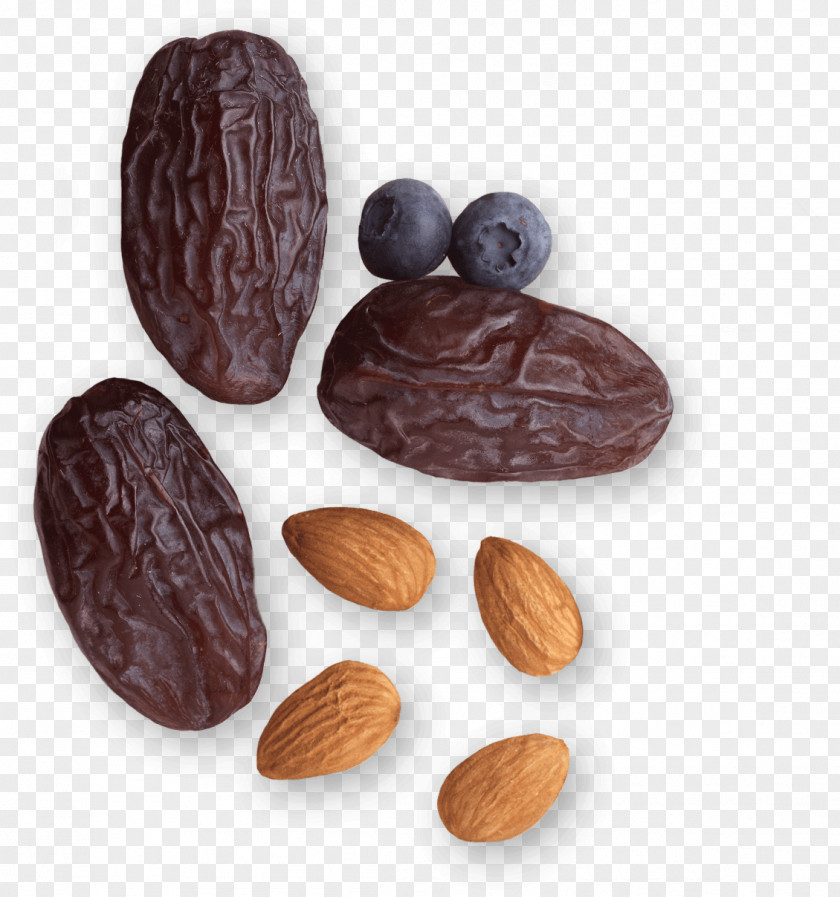 Liquids Commodity Cocoa Bean Cacao Tree PNG