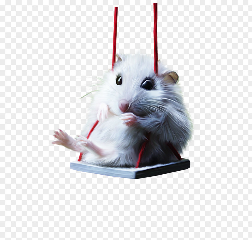 Painting Gerbil Hamster Swing White PNG