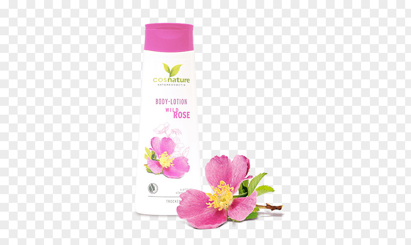 Rose Lotion Cosmetics Shower Gel Nivea PNG