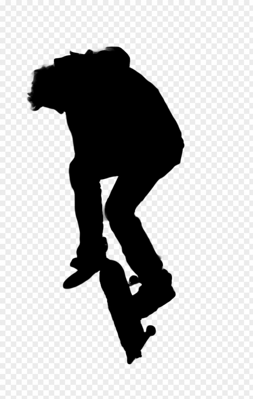 Skateboarding Photography PNG