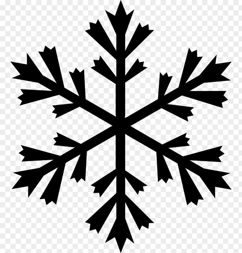Snowflake Frame tree Vector Graphics Illustration Clip Art PNG