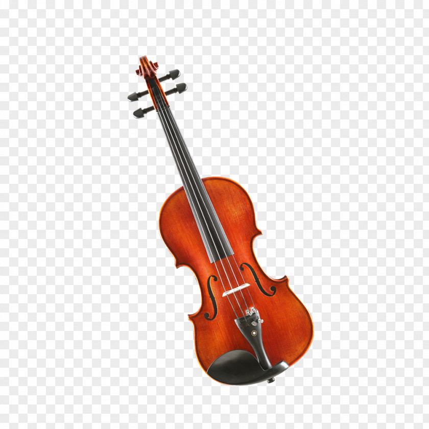 Creative Guitar Violin Double Bass Photography PNG