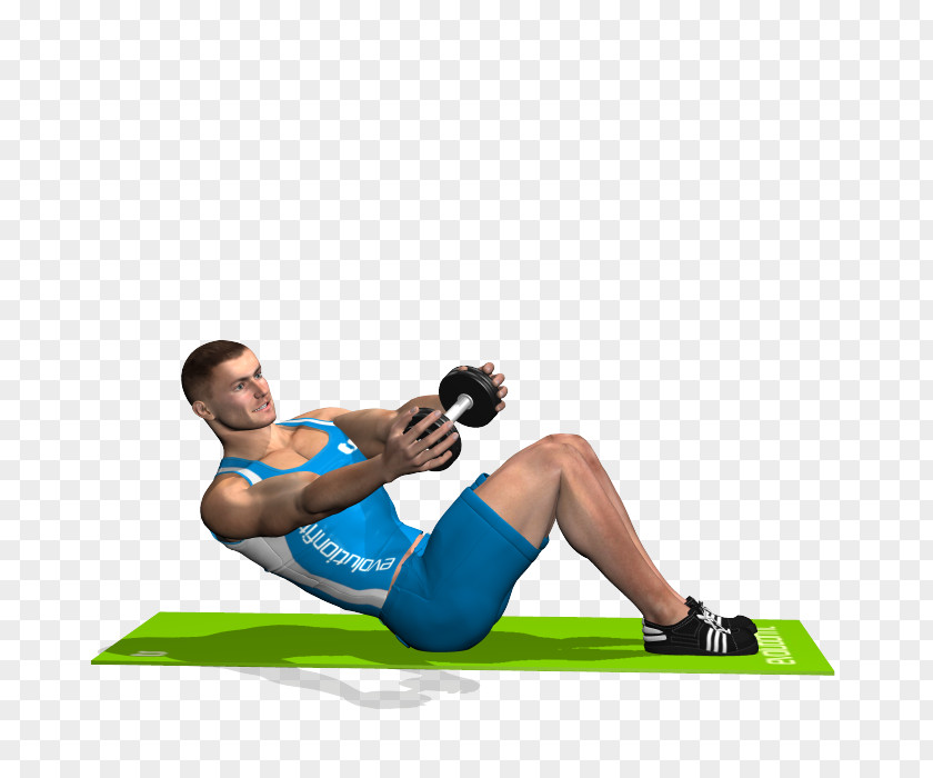 Dumbbell Physical Fitness Exercise Crunch Rectus Abdominis Muscle PNG