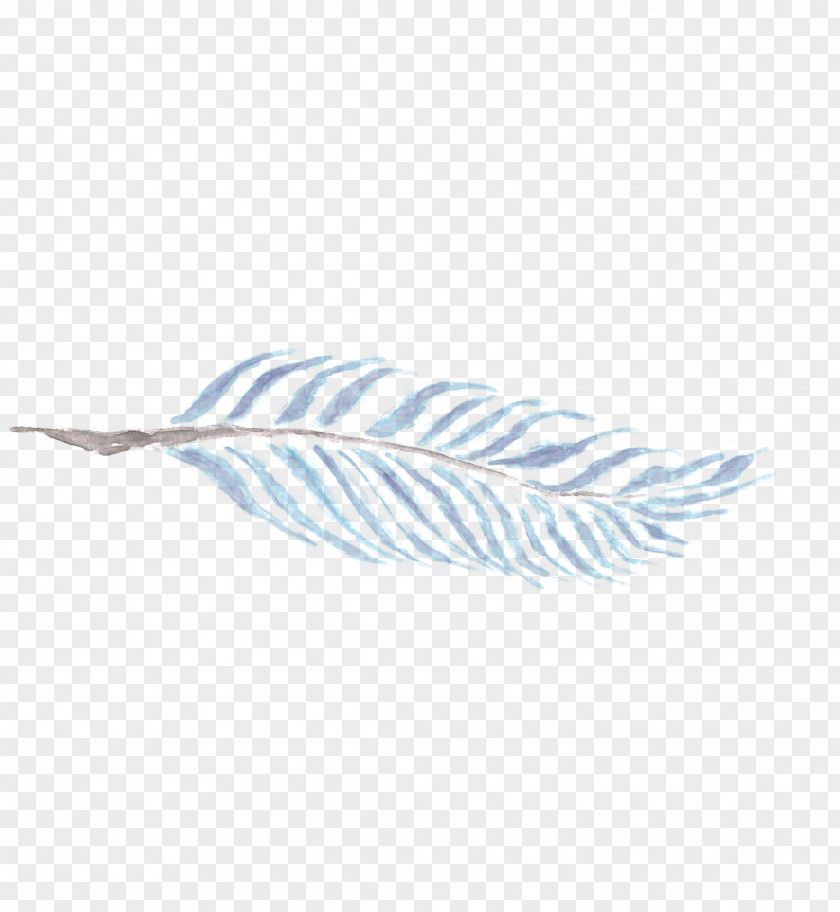 Feather Line PNG
