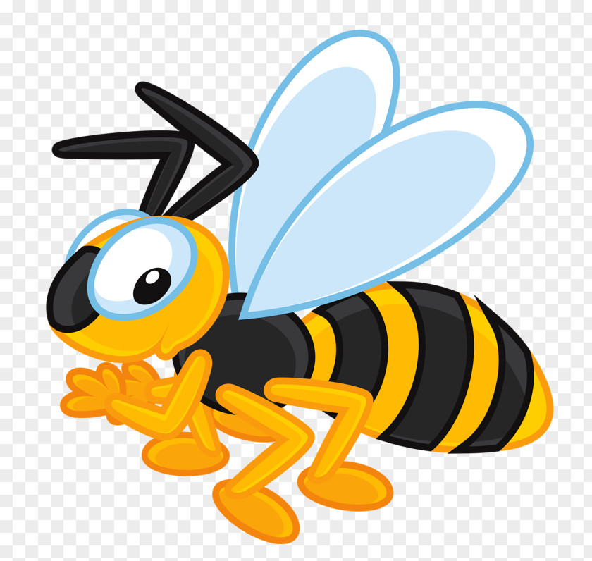 Insect European Dark Bee Beehive Apidae Clip Art PNG