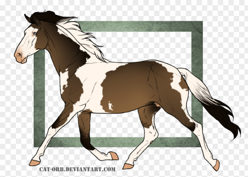 Mustang Stallion Art Foal Mare PNG