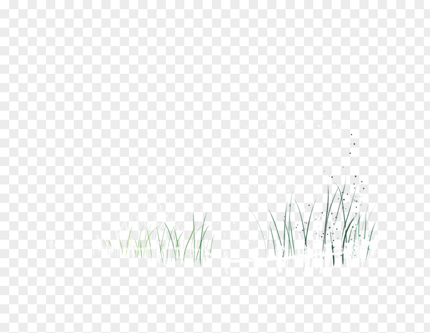 Painted Fence Grass White Black Pattern PNG