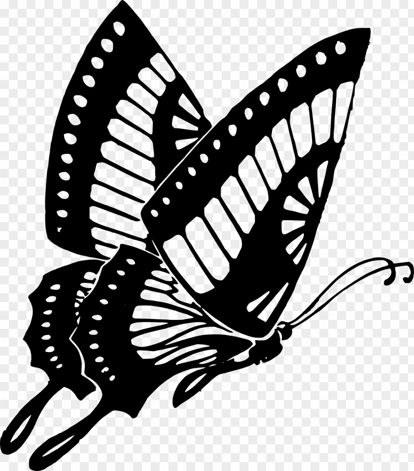 Butterfly Stamp Clip Art PNG