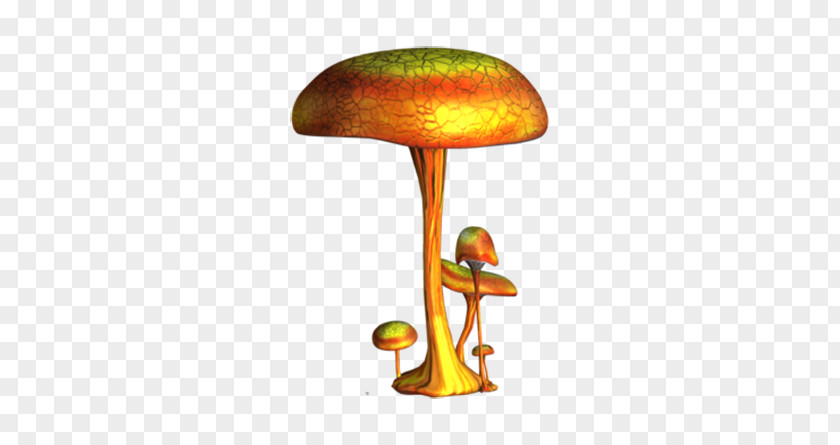 Cute Cartoon Mushroom Image Drawing Fungus PNG