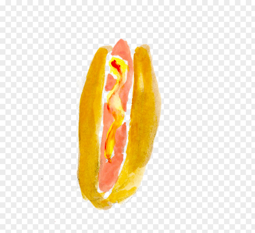 Orange PNG