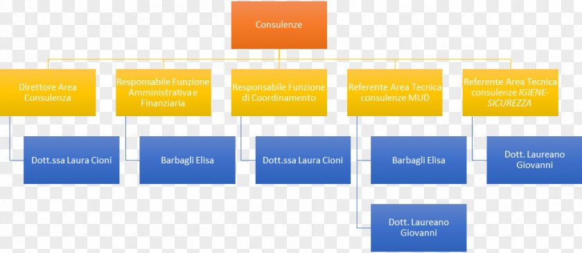 Organizational Framework Chart Consultant Human Resource Organisation PNG