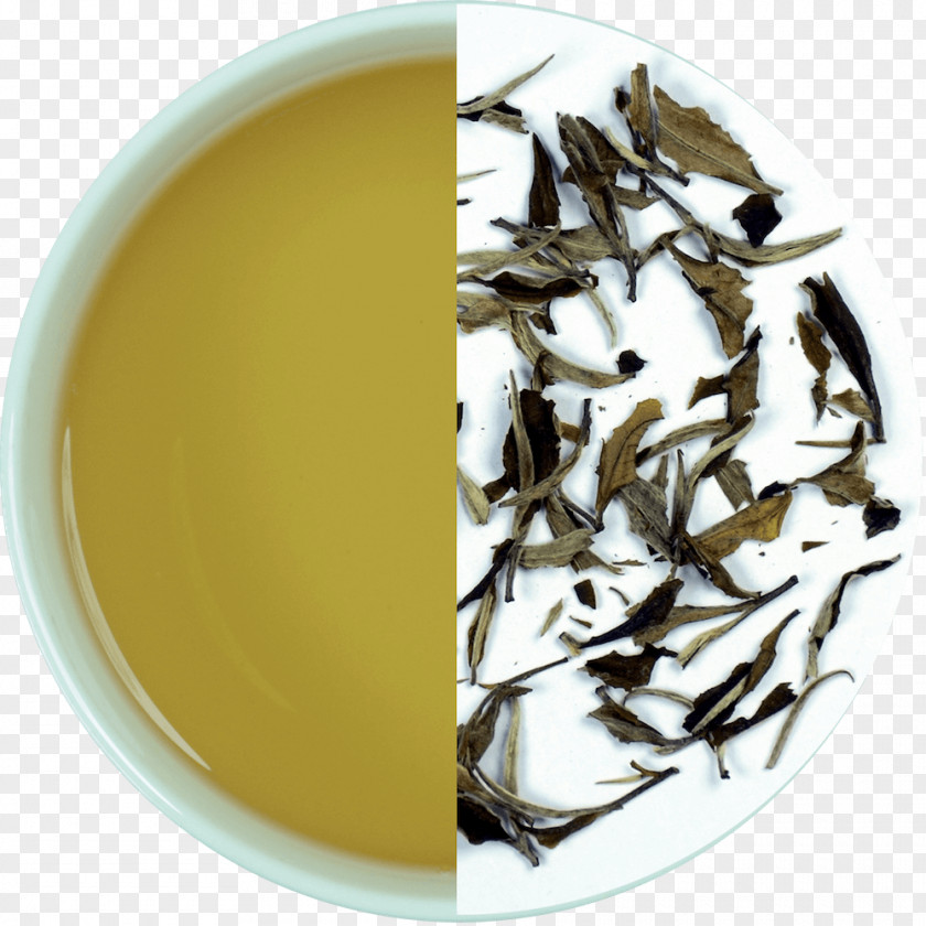 White Tea Assam Darjeeling Baihao Yinzhen PNG