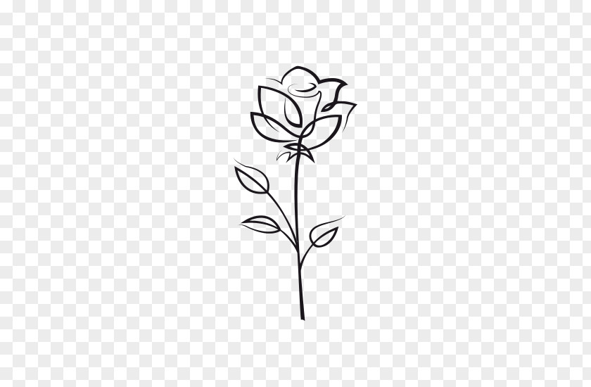 Rose Drawing Flower Clip Art PNG
