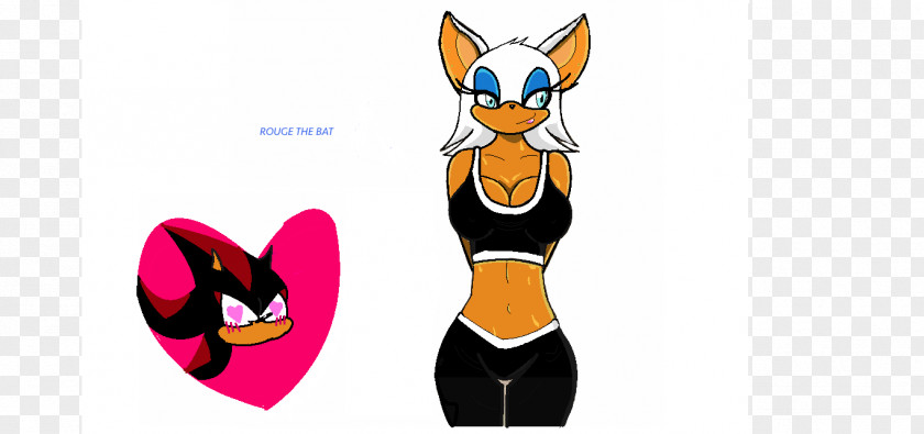 Rouge The Bat Sonic Riders: Zero Gravity Free Riders Cat PNG