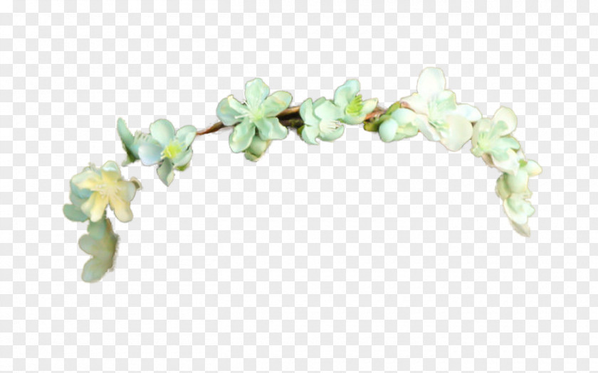 Verbascum Thapsus Flower Wreath Crown Image PNG