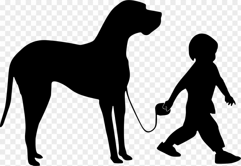 Animal Silhouettes Great Dane Rough Collie Bernese Mountain Dog Border Puppy PNG
