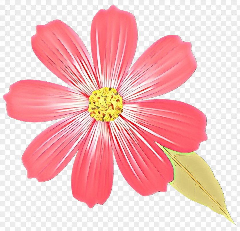 Flower Drawings Colored Pencil PNG