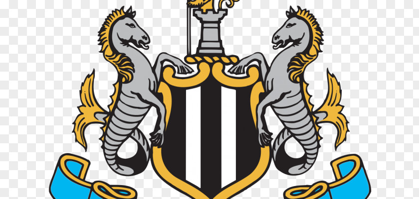 Football Newcastle United F.C. St James' Park Sunderland A.F.C. English League Manchester PNG