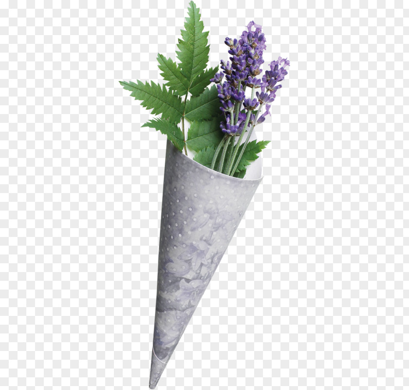Lavender Flower PNG