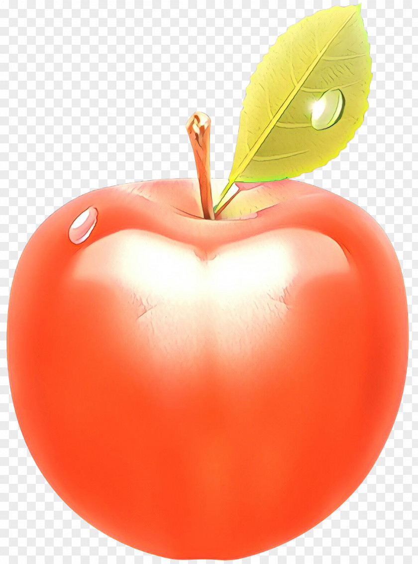 Malus Peach Leaf Heart PNG