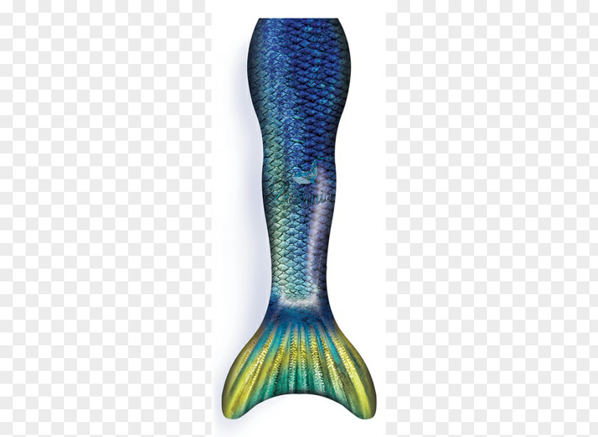 Mermaid Tail Merman Color Monofin PNG