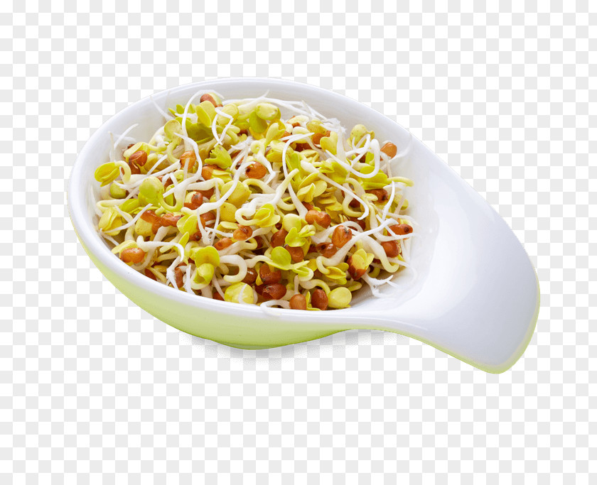 Bean Salad Vegetarian Cuisine Organic Food Recipe Sprouting PNG