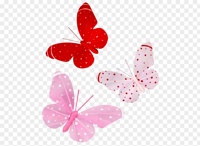 Butterfly Drawing Decoupage Clip Art PNG