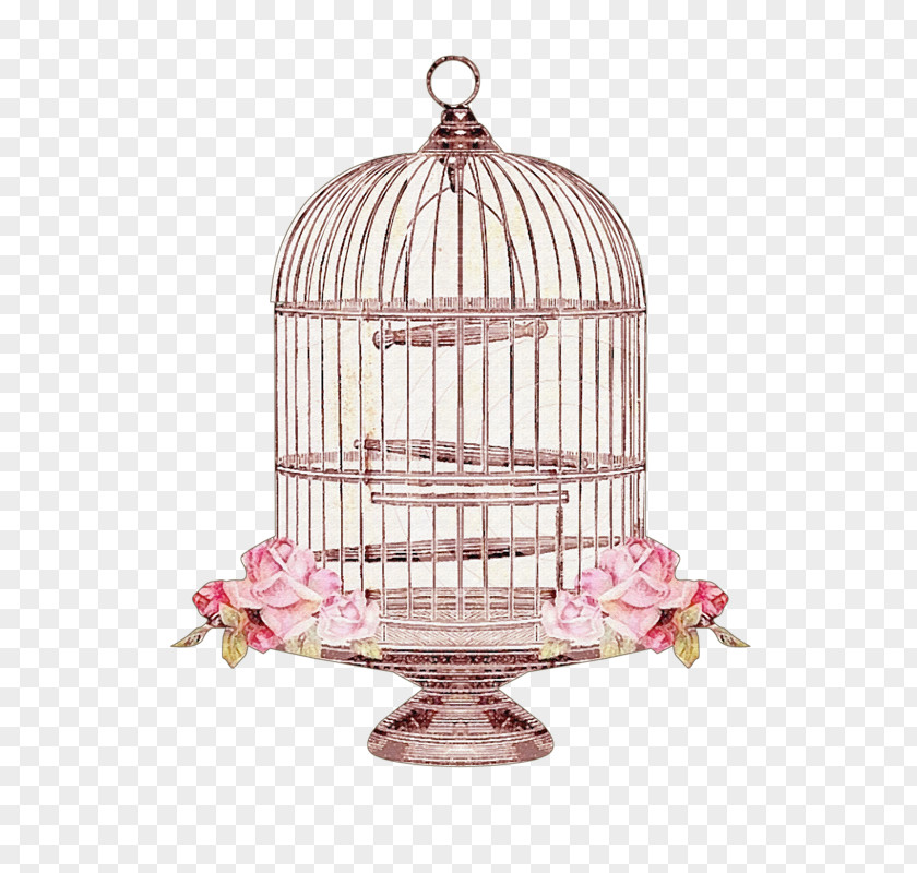 Cage Vector PNG