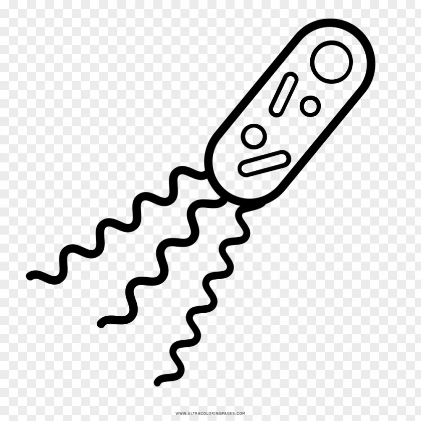 Bacteria Drawing Coloring Book Biology Microscope PNG