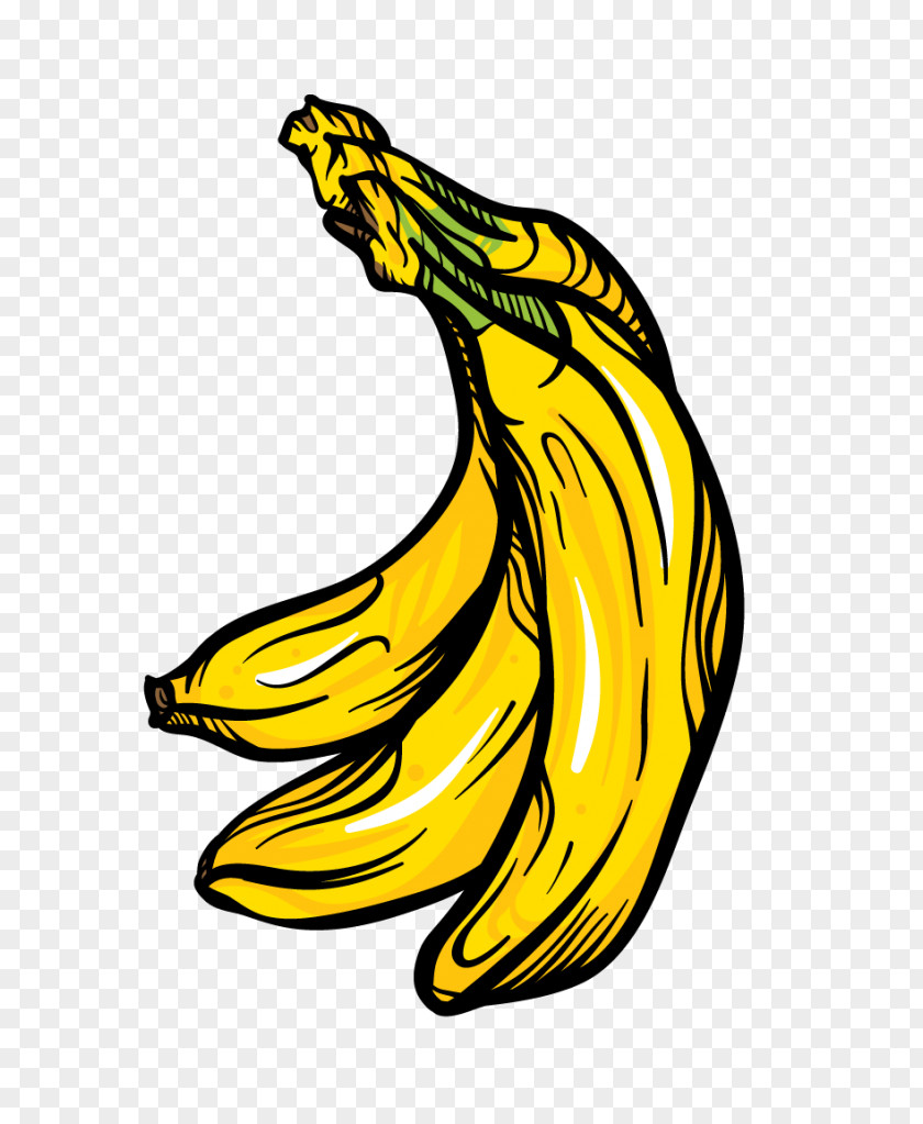 Banana Yellow Family Plant Logo PNG