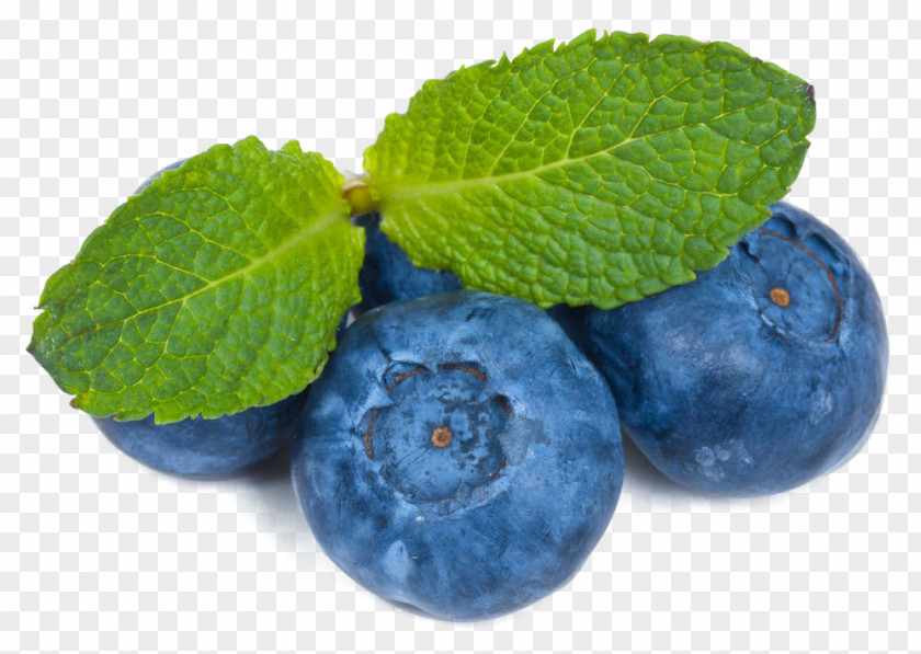 Blueberry Tea Bilberry Leaf Photography PNG