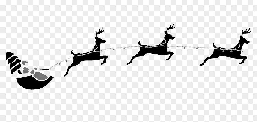 Santa Claus's Reindeer Christmas Day Rudolph PNG