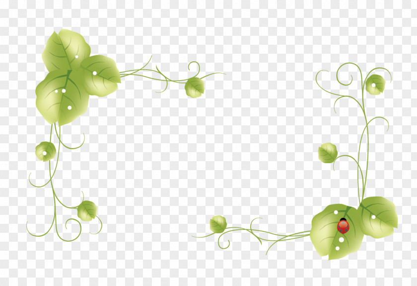 Vector Grass Edge Download PNG