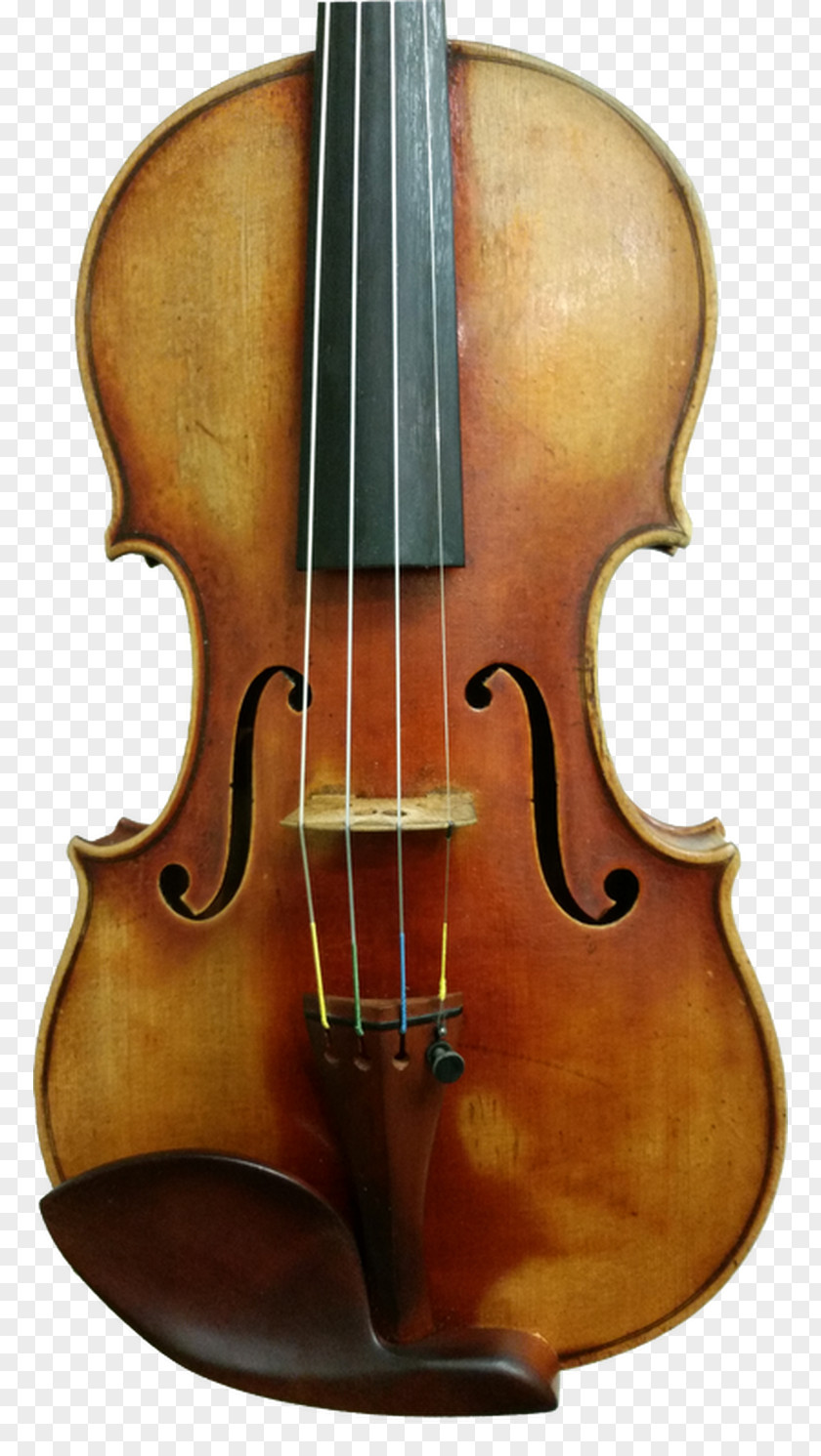 Violin Bass Violone Bowed String Instrument Cello PNG
