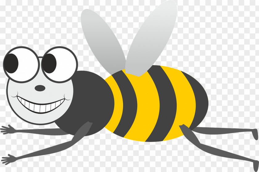 Bee Western Honey Insect Mug Pollinator PNG