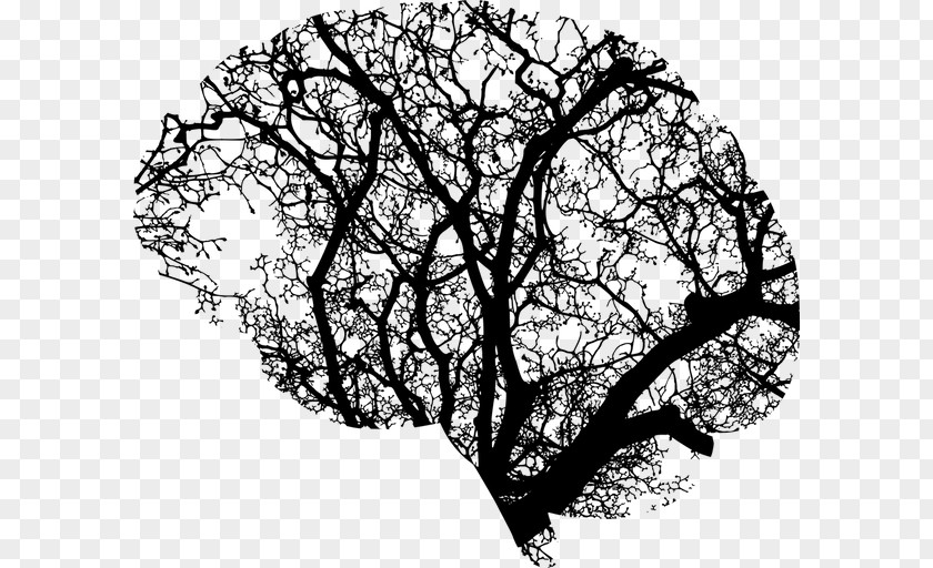 Brain Human Tree Injury PNG