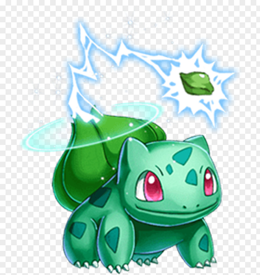 Cartoon Evolution Jenny Turtle Bulbasaur Pokémon Squirtle Charmander PNG