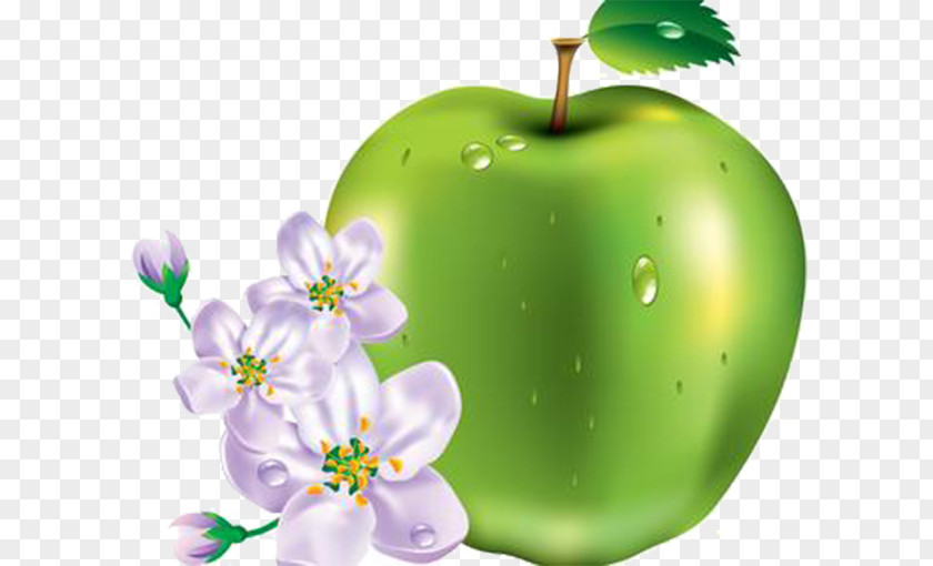Green Apple Flowers An A Day Keeps The Doctor Away Clipping Path Clip Art PNG