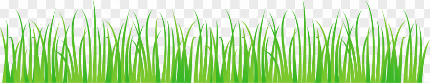 Green Grass Wheatgrass PNG