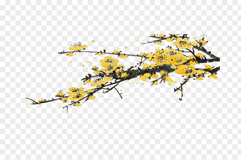 Plum Flower Computer File PNG