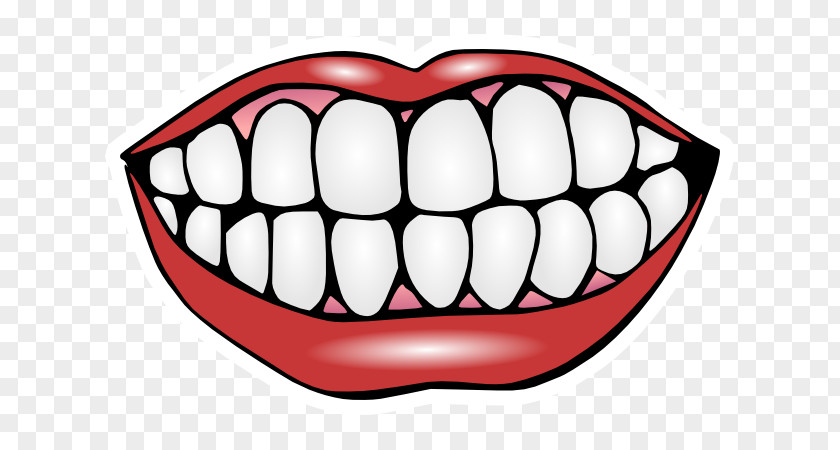 Smile Clip Art Human Tooth Free Content Openclipart PNG